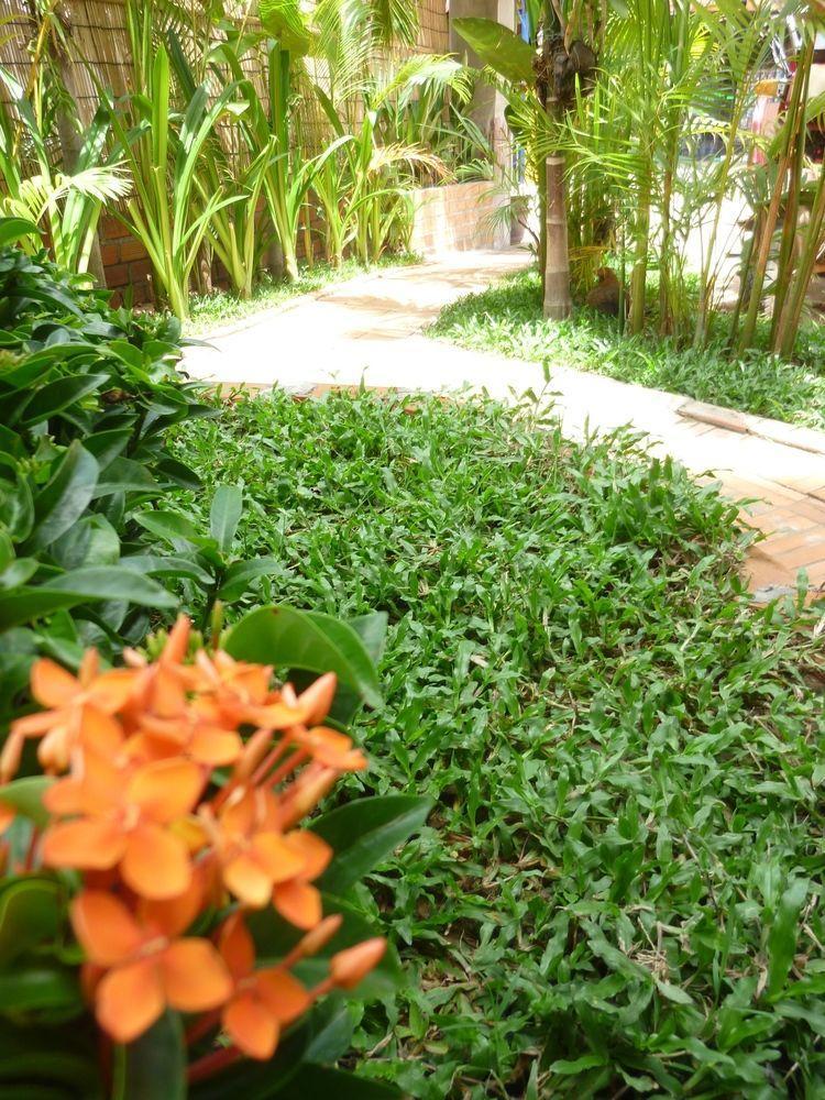 Angkor Reas Guesthouse Siem Reap Bagian luar foto